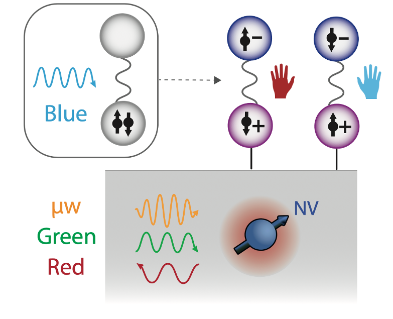 Quantum sensing of chirality-induced spin selectivity