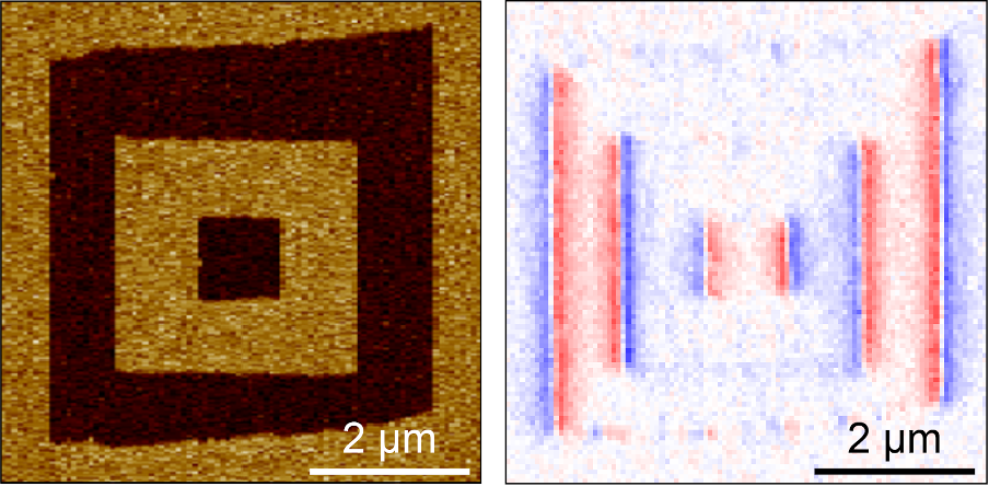 Magnetic and electric field imaging of antiferromagnets, ferroelectrics and multiferroics 2